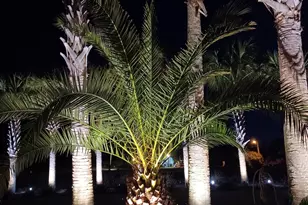 4326 Legend Pl, Panama City Beach, FL 32408 - Photo 46