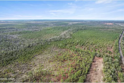 495 City Square Road, Alford, FL 32420 - Photo 2