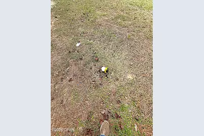 2103 Holley Timber Road, Cottondale, FL 32431 - Photo 14