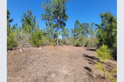 Tbd City Square Road, Alford, FL 32420 - Photo 14