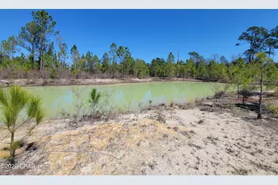 Tbd City Square Road, Alford, FL 32420 - Photo 20