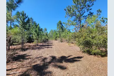 Tbd City Square Road, Alford, FL 32420 - Photo 6