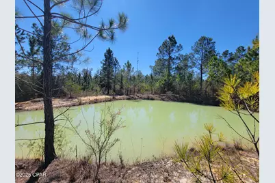 Tbd City Square Road, Alford, FL 32420 - Photo 2