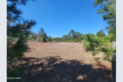 Tbd City Square Road, Alford, FL 32420 - Photo 10