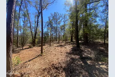 00 Pasofino Lane, Alford, FL 32420 - Photo 4