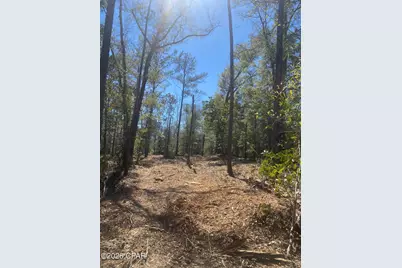 00 Pasofino Lane, Alford, FL 32420 - Photo 6