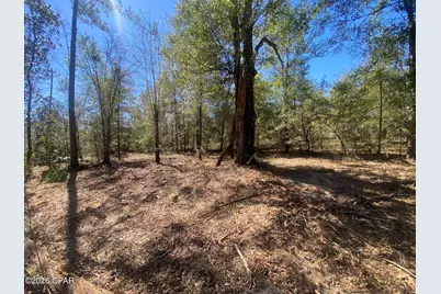 00 Pasofino Lane, Alford, FL 32420 - Photo 2