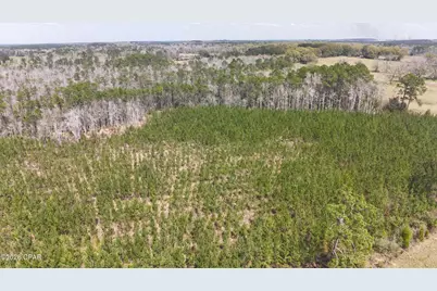 Tract 6336 Sand Path Road, Bonifay, FL 32425 - Photo 8