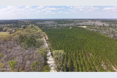 Tract 6336 Sand Path Road, Bonifay, FL 32425 - Photo 12
