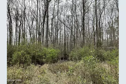 Tract 6336 Sand Path Road, Bonifay, FL 32425 - Photo 6