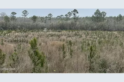 Tract 6336 Sand Path Road, Bonifay, FL 32425 - Photo 2