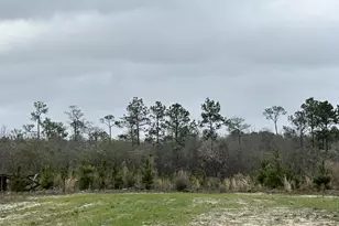 Tract 6336 Sand Path Rd, Bonifay, FL 32425 - Photo 1