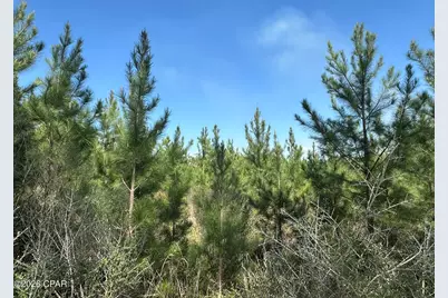 Tract 6336 Sand Path Road, Bonifay, FL 32425 - Photo 4