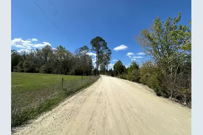 Tract 6336 Sand Path Road, Bonifay, FL 32425 - Photo 2