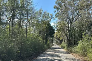 Tract 6336 Sand Path Rd, Bonifay, FL 32425 - Photo 1