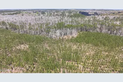 Tract 6336 Sand Path Road, Bonifay, FL 32425 - Photo 10