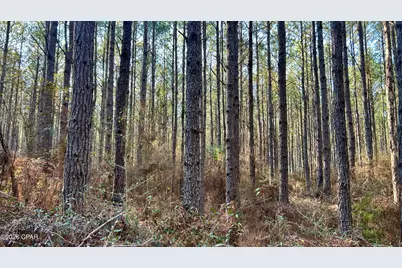 X Grimes Road, Laurel Hill, FL 32567 - Photo 12