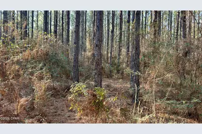 X Grimes Road, Laurel Hill, FL 32567 - Photo 16