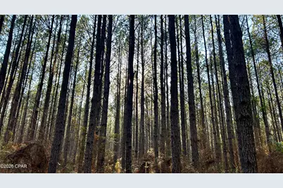 X Grimes Road, Laurel Hill, FL 32567 - Photo 20