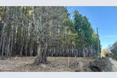 X Grimes Road, Laurel Hill, FL 32567 - Photo 4