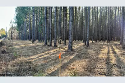 X Grimes Road, Laurel Hill, FL 32567 - Photo 2