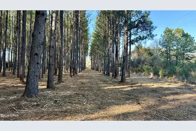 X Grimes Road, Laurel Hill, FL 32567 - Photo 6