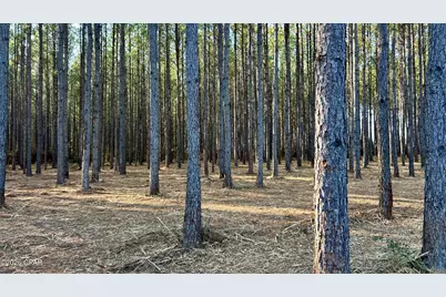 X Grimes Road, Laurel Hill, FL 32567 - Photo 10