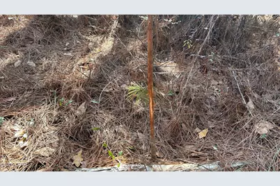 X Grimes Road, Laurel Hill, FL 32567 - Photo 14