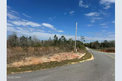 Tract#6409 Davis Road River Road, Caryville, FL 32427 - Photo 10