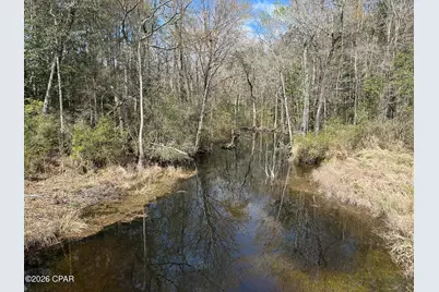 Tract#6409 Davis Road River Road, Caryville, FL 32427 - Photo 8