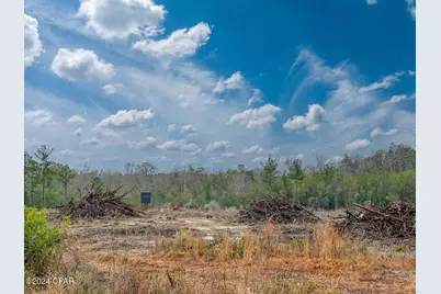 Tract#6409 Davis Road River Road, Caryville, FL 32427 - Photo 4
