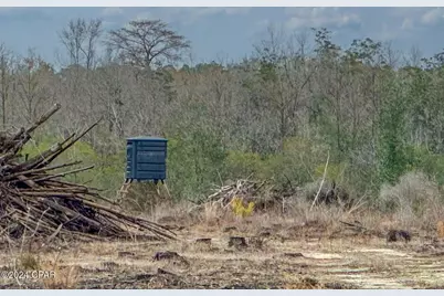 Tract#6409 Davis Road River Road, Caryville, FL 32427 - Photo 6