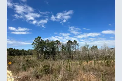 Tract#6409 Davis Road River Road, Caryville, FL 32427 - Photo 12