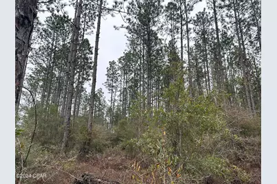 Tract 6418 S Mattox Springs Road #1, Caryville, FL 32427 - Photo 4