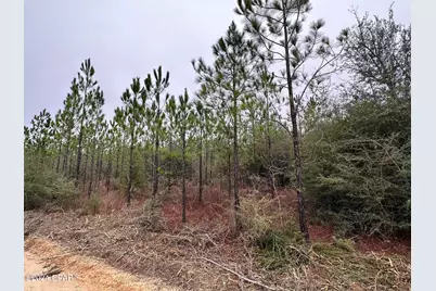 Tract 6418 S Mattox Springs Road #4, Caryville, FL 32427 - Photo 1