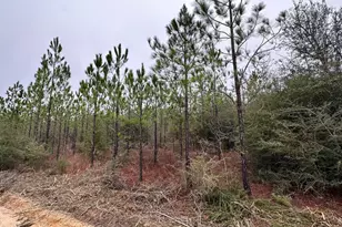 Tract 6418 S Mattox Springs Rd, Caryville, FL 32427 - Photo 1