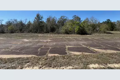 Lot 9 Wakefield Court, Chipley, FL 32428 - Photo 4