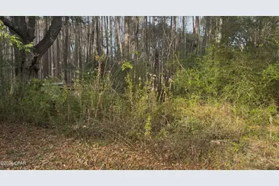 1790 Rosewood Drive, Chipley, FL 32428 - Photo 4