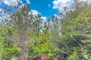Tract 6418 N Union Hill Rd, Caryville, FL 32427 - Photo 1