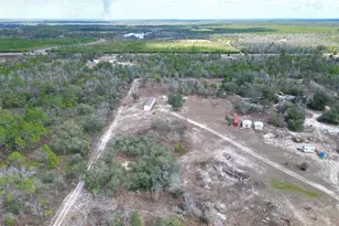 21835 NW Lake McKenzie Blvd, Altha, FL 32421 - Photo 24