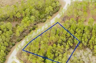 7642 Coastal Hammock Trail, Panama City Beach, FL 32413 - Photo 1