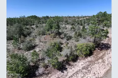 Lot 4 Webster Avenue, Chipley, FL 32428 - Photo 1