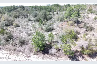 Lot 4 Webster Avenue, Chipley, FL 32428 - Photo 2