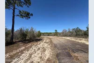 Lot 4 Webster Avenue, Chipley, FL 32428 - Photo 6