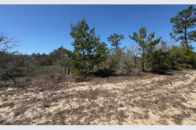 Lot 4 Webster Avenue, Chipley, FL 32428 - Photo 4