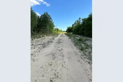 0000 NW Lakeside Avenue #Lot 16 & 17, Altha, FL 32421 - Photo 6