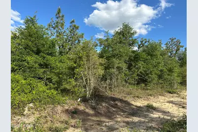 0000 NW Lakeside Avenue #Lot 16 & 17, Altha, FL 32421 - Photo 1