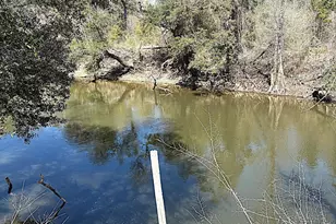 13770 NW Shuman Ferry Rd, Altha, FL 32421 - Photo 32