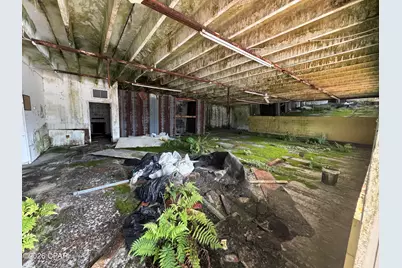 2124 Porter Avenue, Grand Ridge, FL 32442 - Photo 4