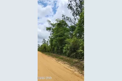 000000 S S Silver Lake Road, Fountain, FL 32438 - Photo 2